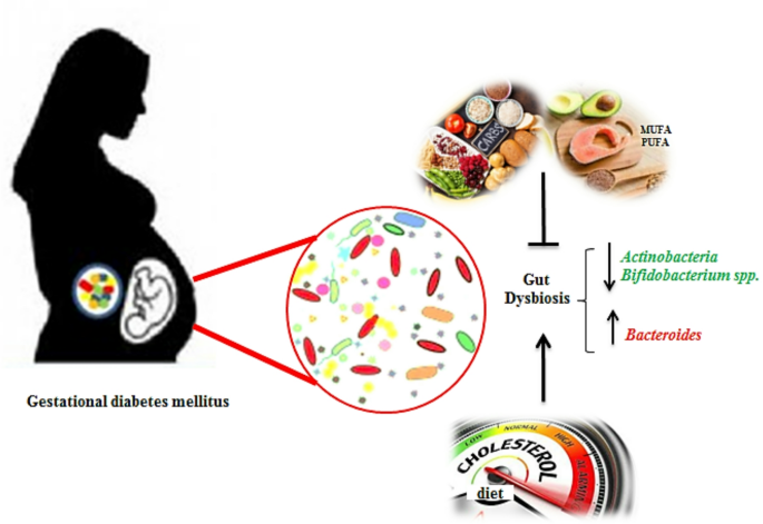 The gut dysbiosis of mothers with gestational diabetes and its correlation with diet