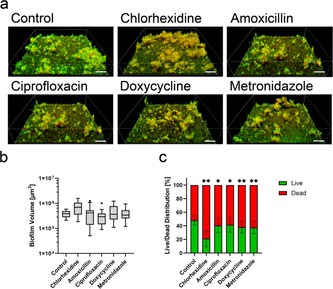 Impact of antibacterial therapeutic agents on biofilm-tissue interactions in a 3D implant-tissue-oral-bacterial-biofilm model