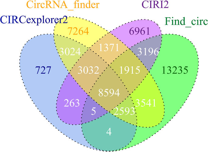 Overexpression of hsa-HLA-DRB1 may delay diabetic wound healing and angiogenesis by regulating miRNA_12118 and FLT-1
