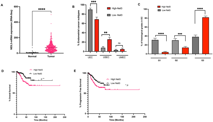 DNA glycosylase (NEIL3) overexpression associated with low tumor immune infiltration and poor overall patient survival in endometrial cancer