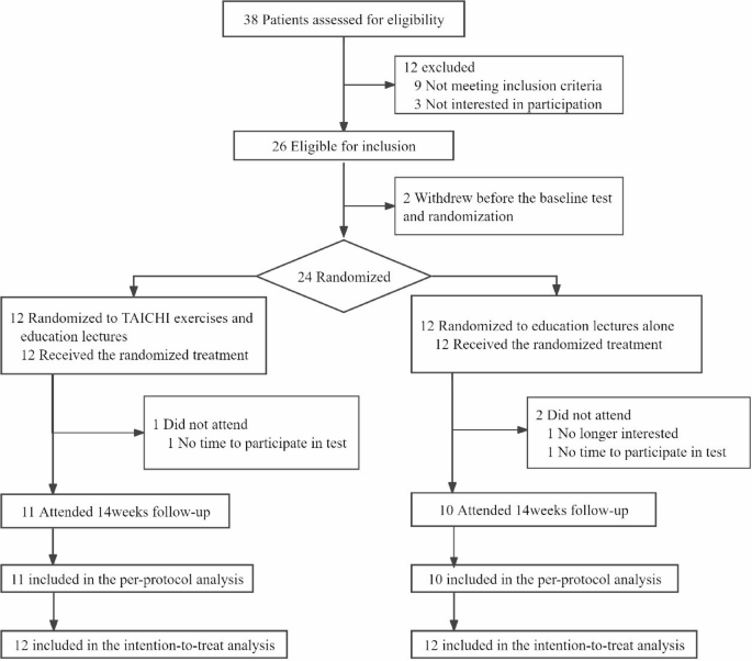 The effects of Tai Chi on clinical outcomes and gait biomechanics in knee osteoarthritis patients: a pilot randomized controlled trial