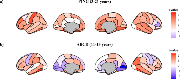 Socioeconomic factors, brain-derived neurotrophic factor Val66Met polymorphism, and cortical structure in children and adolescents