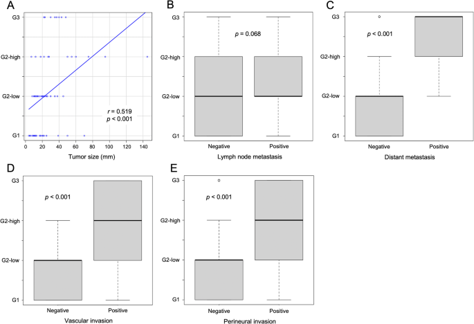 Stratification of G2 pancreatic neuroendocrine tumors using a Ten Percent Ki-67 index cut-off based on clinicopathological and molecular analyses