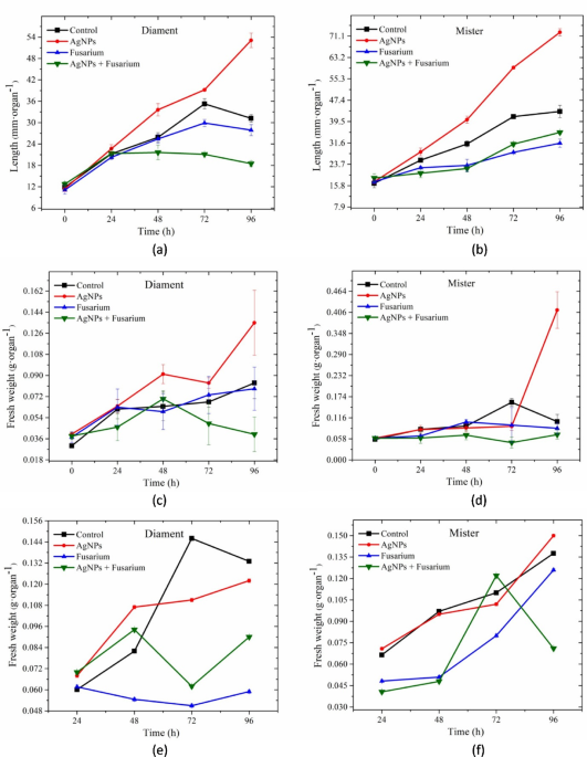 The role of silver nanoparticles in yellow lupine (Lupinus luteus L.) defense response to Fusarium oxysporum f.sp. lupini