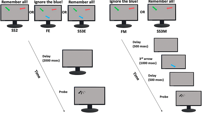 Working memory filtering at encoding and maintenance in healthy ageing, Alzheimer’s and Parkinson’s disease