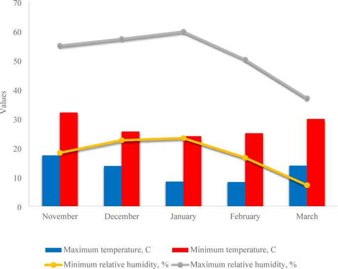 Synergistic effect of ammonium and potassium on carrot growth, physio-biochemical mechanisms, and water use efficiency under varying irrigation regimes