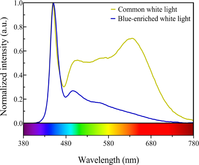 Improving children’s alertness and neuromuscular response by using a blue-enriched white light in the kindergarten playroom