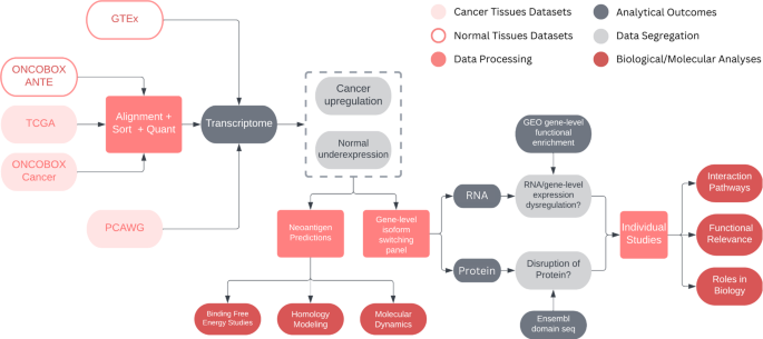 Potential shared neoantigens from pan-cancer transcript isoforms