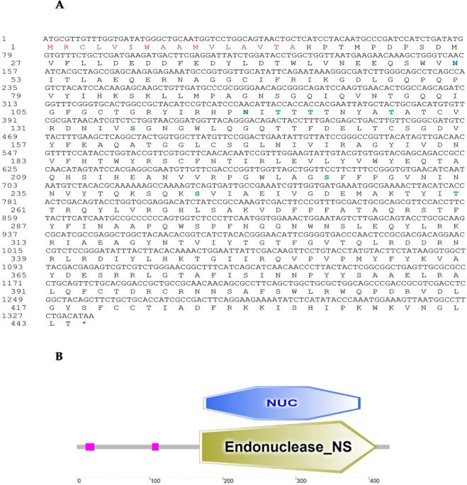 Identification and characterization of a dsRNA-degrading nuclease CmdsRNase2 influencing RNAi efficiency in the rice leaffolder Cnaphalocrocis medinalis
