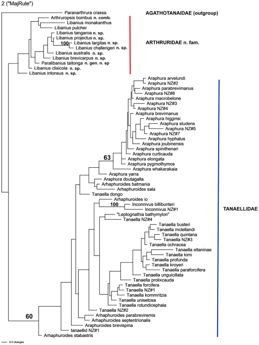 A new deep-sea crustacean family of Tanaidacea is established from Aotearoa New Zealand and Southeast Australia based principally on morphology