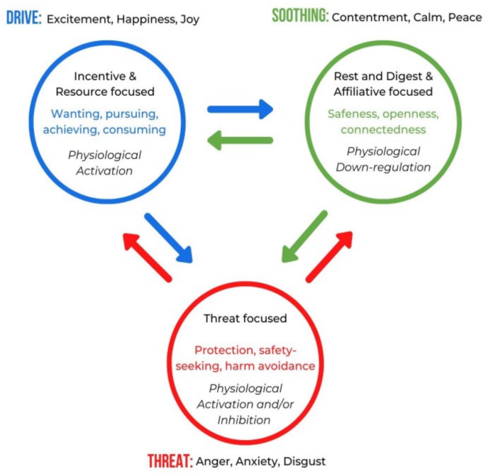 Testing a digital and interactive scale (the three circles) to assess emotion regulation