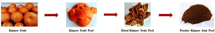 Environmental benign catalyst developed by fruit waste for synthesis of β-amino alcohol with the optimum combination through statistical analysis