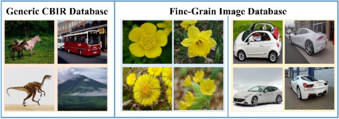 Learning optimal image representations through noise injection for fine-grained search