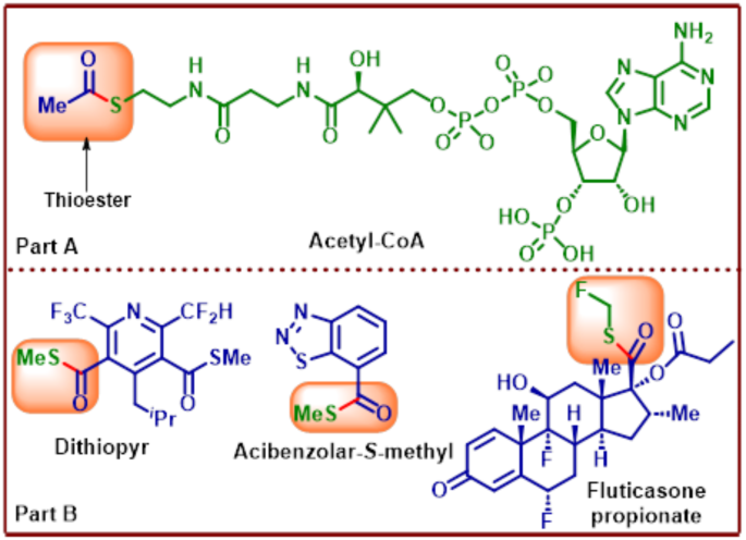 Room temperature, metal-free, CDI-promoted, ex-situ protocol for S-methyl thioester synthesis