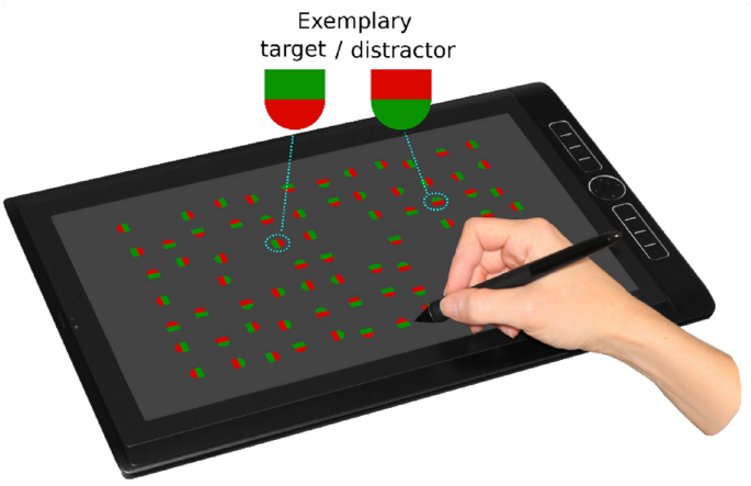 Attention directs actions in visual foraging