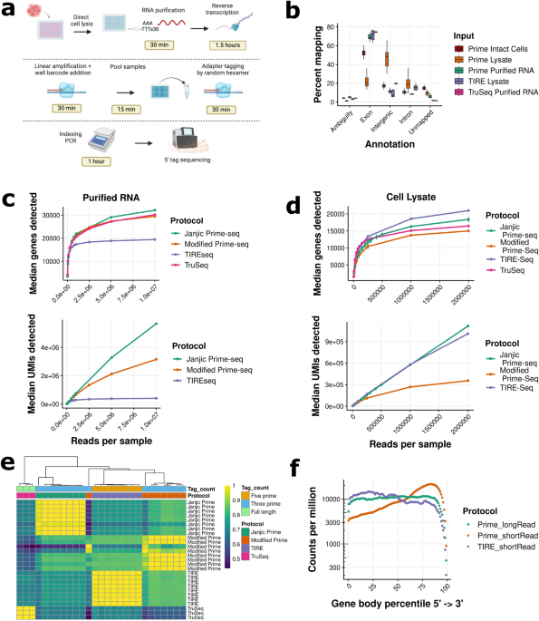 TIRE-seq simplifies transcriptomics via integrated RNA capture and library preparation