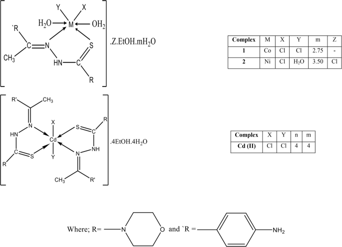 Exploring corrosion behavior, antimicrobial evaluation, molecular docking and DFT calculation of thiosemicarbazone ligand and its metal complexes