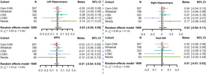 No significant association between self-reported physical activity and brain volumes in women and men from five European cohorts