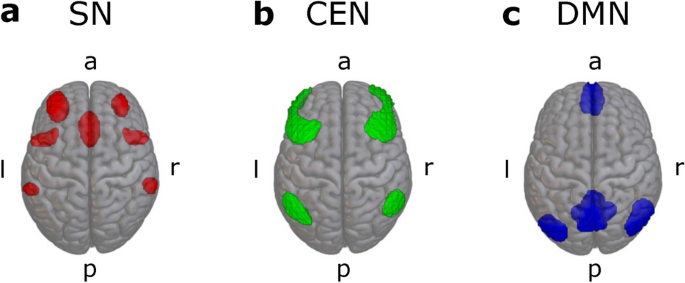 Salience network resting-state functional connectivity predicts self-controlled decision-making