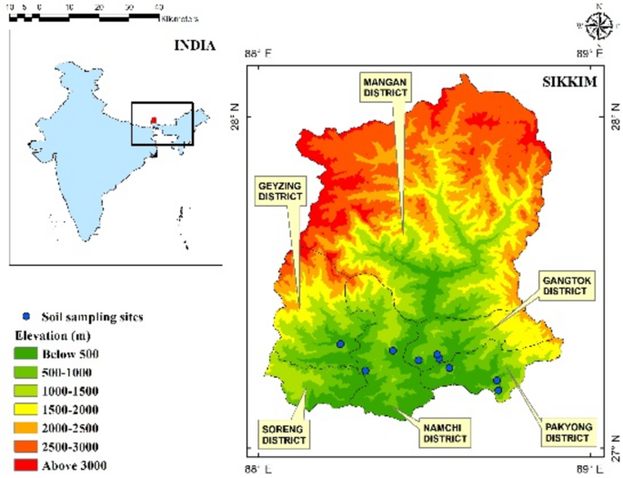Characterization of plant growth promoting bacteria isolated from rhizosphere of tomato cultivated in Sikkim Himalaya and their potential use as biofertilizer