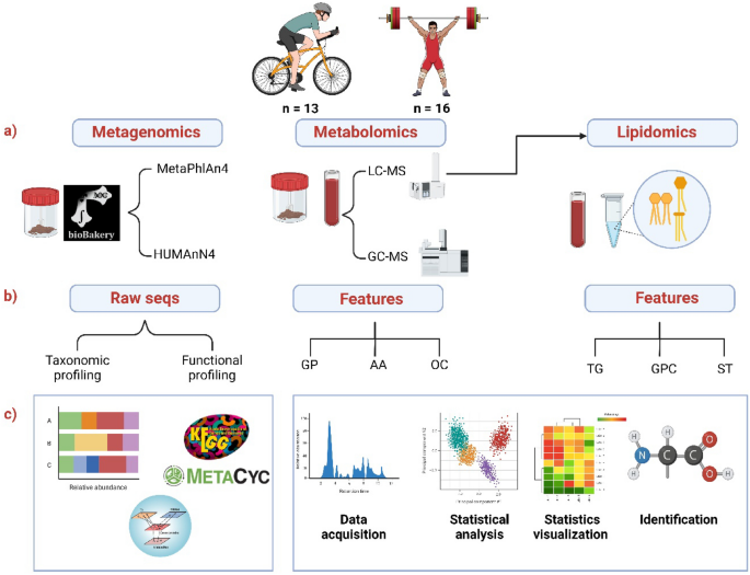 Integrating metagenomics and metabolomics to study the gut microbiome and host relationships in sports across different energy systems
