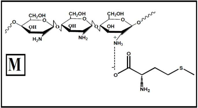 Eco-friendly corrosion inhibitor chitosan methionine for carbon steel in 1 M hydrochloric acid solution: experimental and theoretical approach