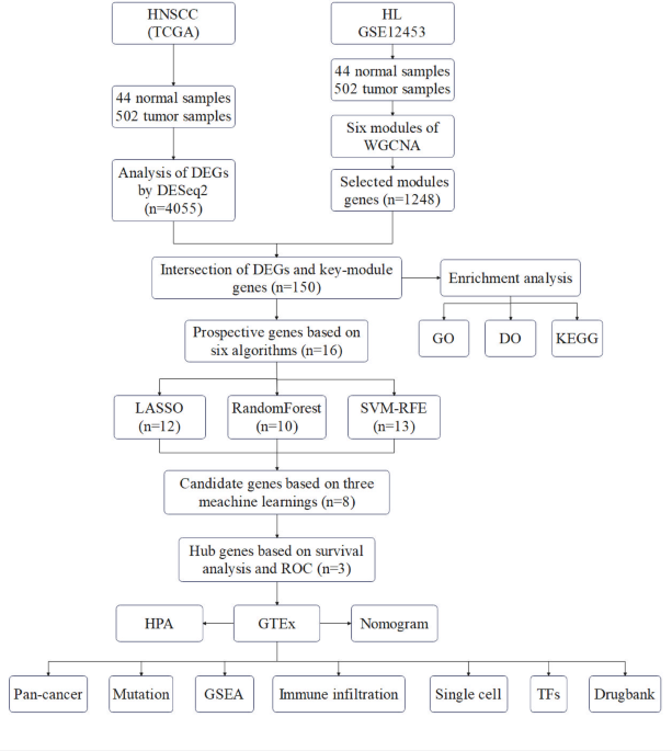 Integrative bioinformatics and machine learning identify key crosstalk genes and immune interactions in head and neck cancer and Hodgkin lymphoma