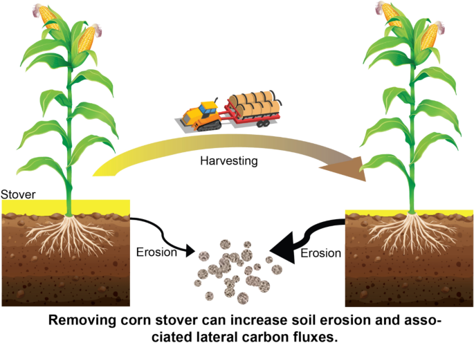 Soil erosion and lateral carbon fluxes from corn stover-derived biofuel
