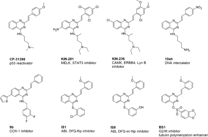 Unveiling the role of Ndrg1 gene on the oxidative stress induction behind the anticancer potential of styrylquinazoline derivatives