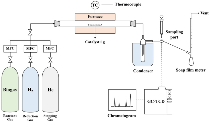 Dual function NiMo/MgO catalyst for biogas valorization to syngas and carbon nanotubes