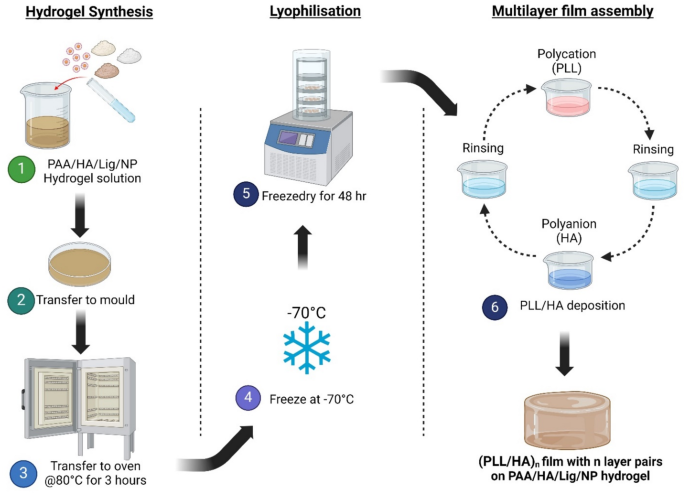 Electrically conductive lignin reinforced PAA/HA scaffolds with enhanced biological activity via polyelectrolyte multilayer coatings for tissue engineering applications