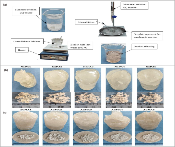 Design and manufacturing of superabsorbent polymers (SAPs) for agriculture in arid areas