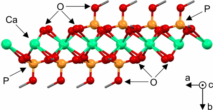 Calcium coordination polymer containing dimethylphosphate ligands and exhibiting nucleating properties towards α and Β crystal polymorphs of isotactic polypropylene