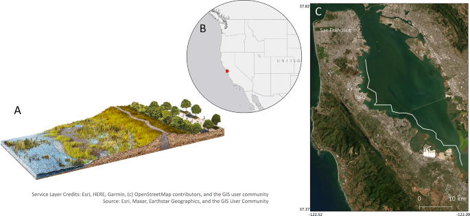 Nature-based solutions extend the lifespan of a regional levee system under climate change