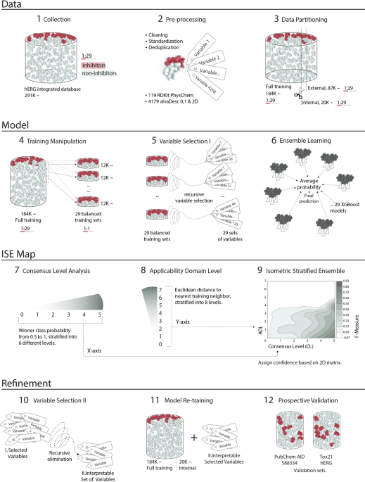 hERG toxicity prediction in early drug discovery using extreme gradient boosting and isometric stratified ensemble mapping