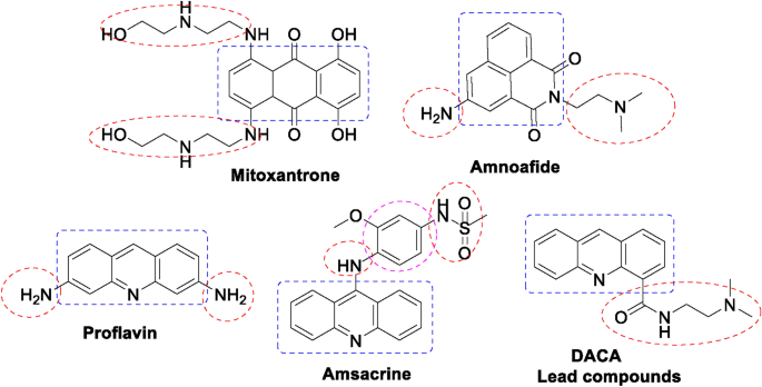 Antioxidant activity, molecular docking, and modeling pharmacokinetics study of some benzo[f]quinoline candidates
