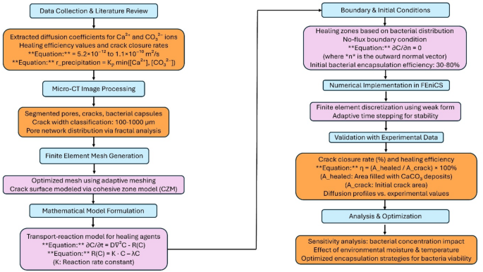 Finite element simulation of bacterial self-healing in concrete using microstructural transport and precipitation modeling