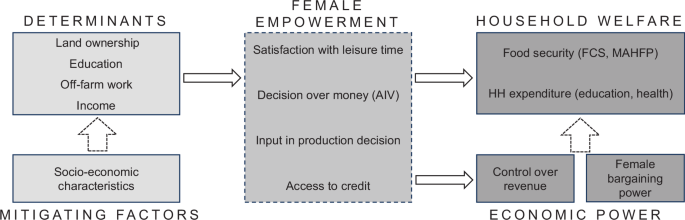 Women’s empowerment and household welfare in the Kenyan African Indigenous Vegetable supply chain