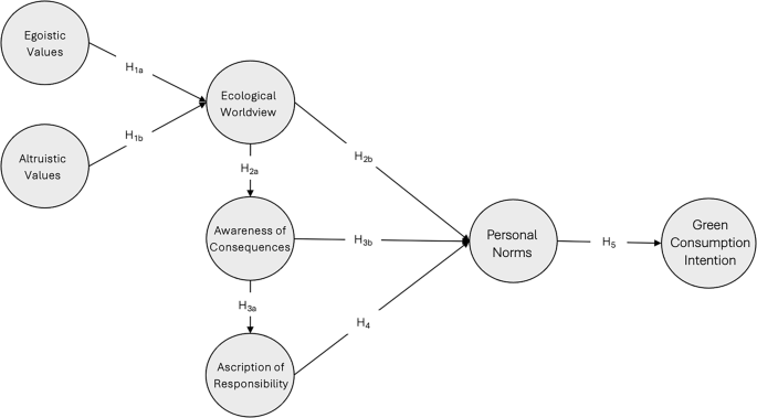 The nexus of environmental values, beliefs, norms and green consumption intention