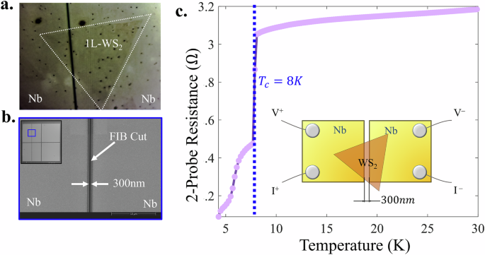 Andreev pair injection into a transition metal dichalcogenide monolayer