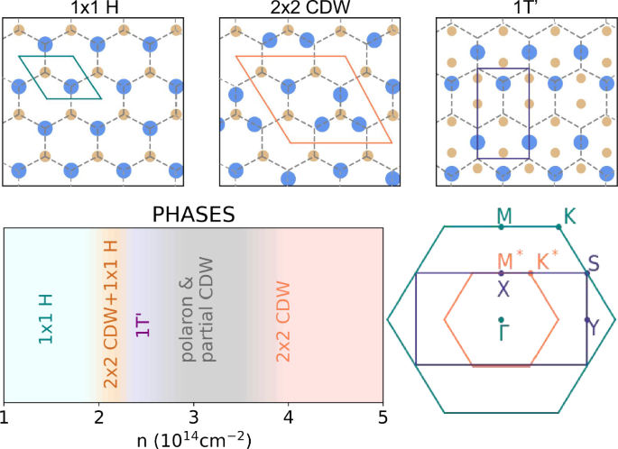 Understanding the origin of superconducting dome in electron-doped MoS2 monolayer
