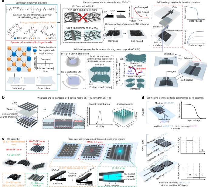 Reconfigurable assembly of self-healing stretchable transistors and circuits for integrated systems