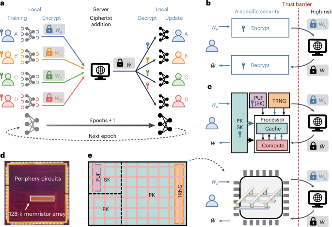 Federated learning using a memristor compute-in-memory chip with in situ physical unclonable function and true random number generator