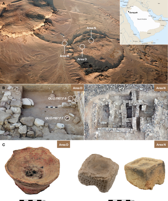 Metabolic profiling reveals first evidence of fumigating drug plant Peganum harmala in Iron Age Arabia