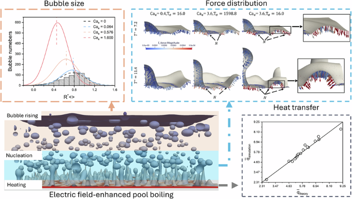 Mesoscopic insights into effects of electric field on pool boiling for leaky dielectric fluids
