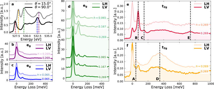 Resolving the orbital character of low-energy excitations in Mott insulator with intermediate spin-orbit coupling