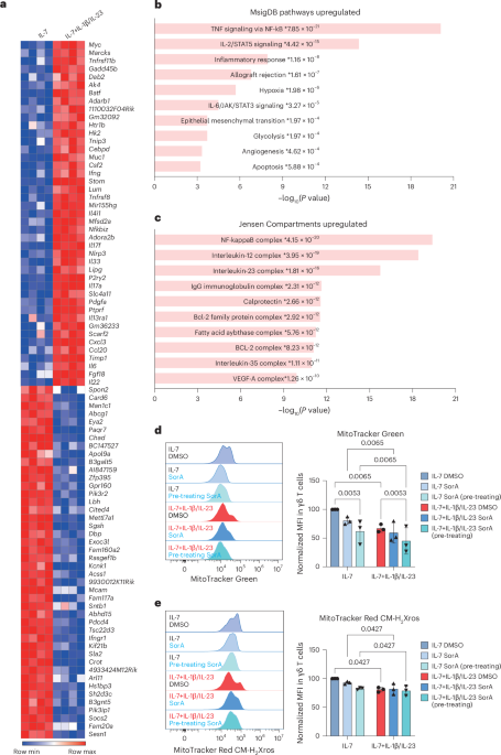 Metabolic reprogramming of interleukin-17-producing γδ T cells promotes ACC1-mediated de novo lipogenesis under psoriatic conditions