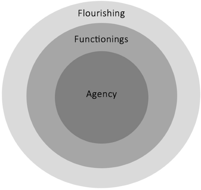 Realizing multispecies justice through a capability approach to promote nature-based solutions