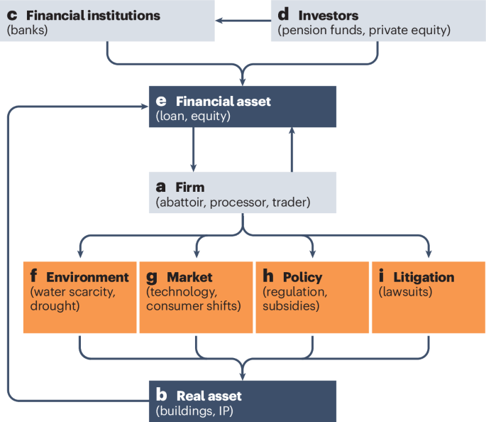 Asset stranding could open new pathways to food systems transformation