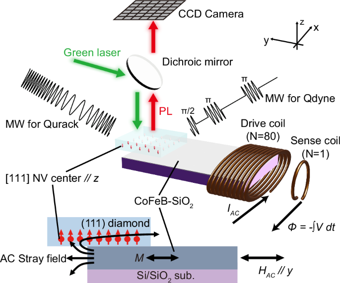 Imaging AC magnetization response of soft magnetic thin films using diamond quantum sensors
